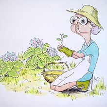 Hydrangea (Hortensia). Character Design, and Traditional illustration project by Heura Salinas Vilaseca - 10.14.2014