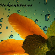 Clemenules.es wallpapers. Graphic Design, Photograph, and Traditional illustration project by Vicent casabó escrig - 10.14.2014