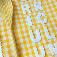 Mi curriculum tela. Marketing, and Design project by Añeta Martin Moreno - 10.14.2013
