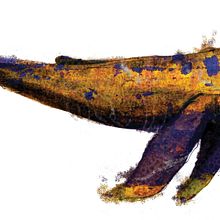 ballena oxidada. Een project van Traditionele illustratie van Fran Villano Sánchez - 15.10.2014