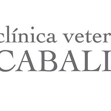 Logotipo Clínica Caballero. Br, ing, Identit, and Design project by Javier Díaz González - 10.16.2014