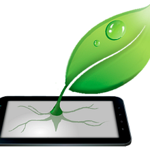 Co-Founder at Green Grow Apps S.C.. Un proyecto de Programación de Alex Salom - 31.07.2012