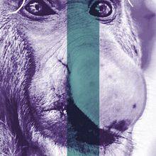 Cinco Sentidos. Un proyecto de Diseño gráfico de Gerardo Gujuli Apellaniz - 21.10.2014