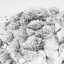 Flora intestinal. Fine Arts, Design, and Traditional illustration project by Belén Moreno - 08.31.2014