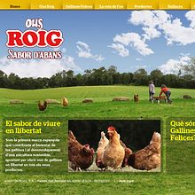 Website Huevos Roig. Un progetto di Direzione artistica, Web design, UX / UI e Graphic design di Joan Pacheco Cairó - 21.10.2014