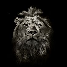 Web corporativa agencia. . Design web de _ Portela - 06.22.2014