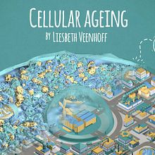 Cellular Ageing animation. Un progetto di Motion graphics e 3D di David Garcia Torrico - 02.11.2014
