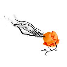 Somnis incomplets.... Un proyecto de Ilustración tradicional de Ester Montjer - 31.10.2014