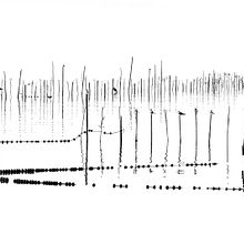 Albufera minimal. Photograph project by José Luis Vilar Jordán - 11.05.2014