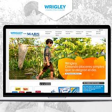 Content Management Wrigley Spain. Web Development project by Irene Creative Code - 11.07.2014