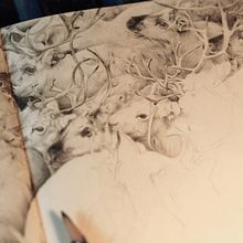 rennes. Un progetto di Artigianato, Belle arti e Illustrazione tradizionale di Ramón Nicolás Sabater - 08.11.2014