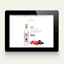 Stoli web. Web Design project by allende lopez - 11.09.2014