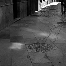 Arbores cum sanguinem. Photograph, and Traditional illustration project by Ana Domínguez - 06.07.2013