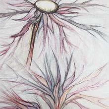 Flores Ein Projekt aus dem Bereich Traditionelle Illustration von Casandra Pina - 09.11.2014