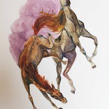 Caballos Ein Projekt aus dem Bereich Traditionelle Illustration von Casandra Pina - 09.11.2014