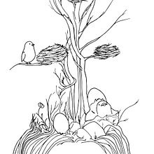 No tengo pipis, tengo pajarracos. Un progetto di Illustrazione tradizionale di María Bravo Guisado - 20.10.2014