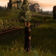 Bergur (NWN2). Un projet de Conception de jeux  de Hugo Cano Soriano - 13.11.2014