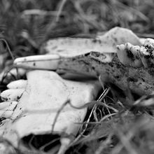 infame. Photograph project by Carmen Becerro de Bengoa - 11.13.2014