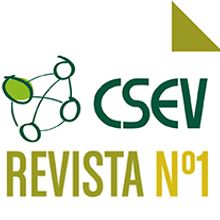 Revista offline CSEV. Projekt z dziedziny Br, ing i ident, fikacja wizualna, Grafika ed, torska, Projektowanie graficzne, Trad, c i jna ilustracja użytkownika Cristina Rodríguez Gallego - 19.06.2013