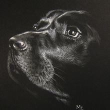Animal portraits. Un proyecto de Bellas Artes e Ilustración tradicional de MC urain - 16.11.2014