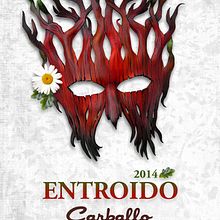 Entroido 2014. Un progetto di Graphic design e Fotografia di Gende Estudio - 17.11.2014