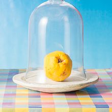 STILL LIFE . % Miguel Ángel tarafından hazırlanan Güzel sanatlar, Markalaşma ve Kimlik, Set Tasarımı, Ve Fotoğrafçılık projesi - 11.30.2014