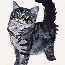 Gato. Un progetto di Pittura di Casandra Pina - 01.12.2014