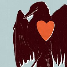 kawboy bird. Projekt z dziedziny Trad, c i jna ilustracja użytkownika Rubén Bellido Gracia - 03.12.2014