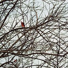 fotografía. Un proyecto de Fotografía de Sara Lázaro Álvaro - 03.12.2014
