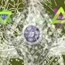 Oro fino. Animation project by Paterjacob - 12.03.2010