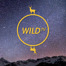 Wild TV. Een project van  Br, ing en identiteit, Grafisch ontwerp y Multimedia van Elena Ramírez - 05.06.2013