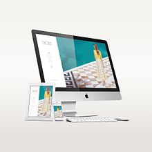 Choice Moda Website Design. Un proyecto de Dirección de arte, Diseño gráfico y Diseño Web de Carmen Virginia Grisolía Cardona - 20.03.2016