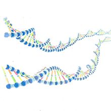 DNA Structure, commission Ein Projekt aus dem Bereich Bildende Künste und Traditionelle Illustration von Mentiradeloro Esther Cuesta - 11.12.2014