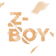 Z-Boy. Graphic Design project by Ricard Garcia - 01.01.2015
