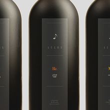 Aulos Wine Ein Projekt aus dem Bereich Fotografie, Grafikdesign und Verpackung von Luis Andres Guerra Luis - 04.01.2015