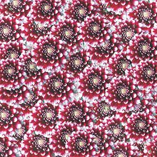 Flores/5/Pattern. Design, Interior Design, Editorial Design, Graphic Design, Traditional illustration, and Packaging project by Maria Pagola Domec - 01.08.2015