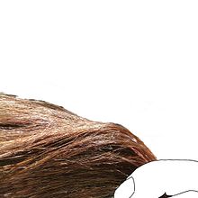 1001 tonalidades en tu pelo. Ilustração tradicional projeto de María Bravo Guisado - 11.01.2015