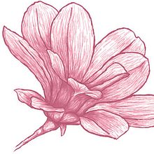 Pattern "Magnolia". Un proyecto de Ilustración tradicional de Luis Montes - 14.01.2015