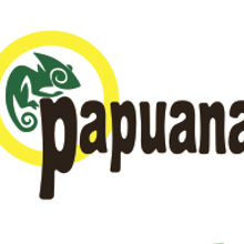 Branding y papelería comercial. Br, ing, Identit, Graphic Design, and Traditional illustration project by Nowe Creative Formación y Diseño - 01.15.2015