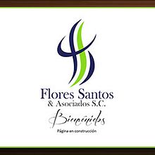 Flores Santos & Asociados. Un proyecto de Diseño Web de Violeta Farías - 12.05.2012