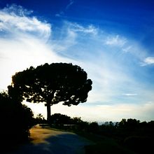 Naturaleza. Un progetto di Fotografia, Paesaggismo, Postproduzione fotografica e Pubblicità di Julian Gracia - 17.01.2015