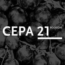 Cepa 21. Br, ing, Identit, Design, Interior Design, and Graphic Design project by TGA - 11.10.2014