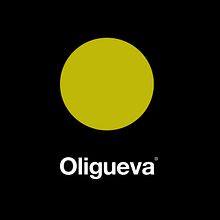 Oligueva. Design, Editorial Design, and Packaging project by TGA - 11.28.2014