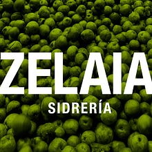 Zelaia. Design, Graphic Design, and Web Design project by TGA - 10.31.2014