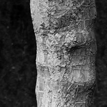 Abstracta . Un proyecto de Fotografía de Karla Fernanda Chiriboga Vinueza - 22.01.2015