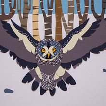 Buho de papel. Un progetto di Collage e Illustrazione tradizionale di Laura Di Mascio Escribano - 22.01.2015