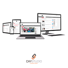 Desarrollo web Wordpress. Web Development project by Cay Studio - 04.13.2014