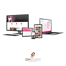 Desarrollo web Wordpress. Web Development project by Cay Studio - 09.14.2014
