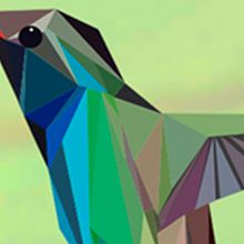 Colibri. Fine Arts, Design, Graphic Design, Traditional illustration, L, and scape Architecture project by javi rivas - 01.25.2015