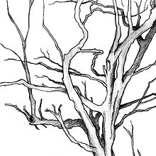 Dibujando en la ribera Ein Projekt aus dem Bereich Bildende Künste und Traditionelle Illustration von Javier Usón - 25.01.2015